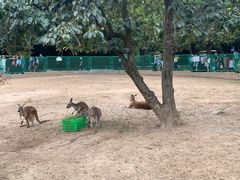 -西安秦岭野生动物园