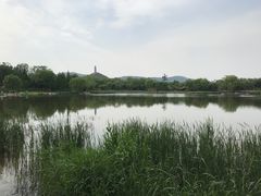 -北坞公园