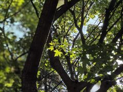 -木塔寺遗址生态公园