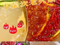 -小龙坎火锅(春熙太古里店)