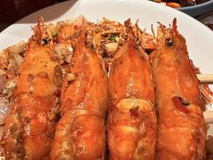 -杨氏青龙虾·羊蝎子(托乐嘉店)