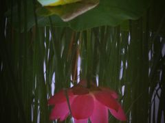 -太阳宫公园