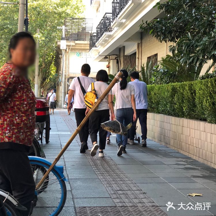 随手拍，生活片段。