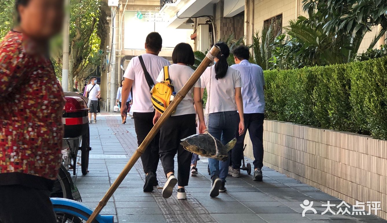 随手拍，生活片段。