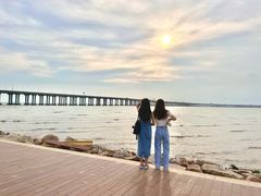 -宝安西湾红树林湿地公园