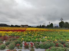 -中国天府农业博览园