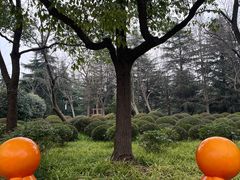 -黄兴公园