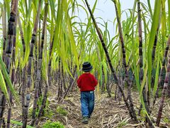-汉长安城未央宫国家考古遗址公园