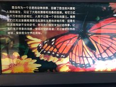 -上海昆虫博物馆