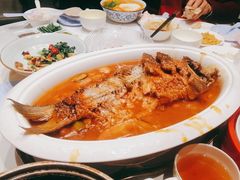 -阿五黄河大鲤鱼(海尚店)