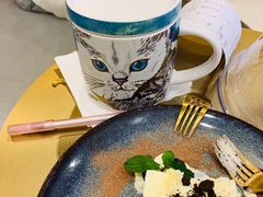 -飞行喵MR PILOT|猫舍·猫咖(静安大融城店)