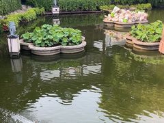 -豫园湖心亭茶楼