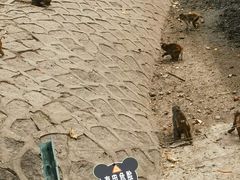 -哈尔滨北方森林动物园