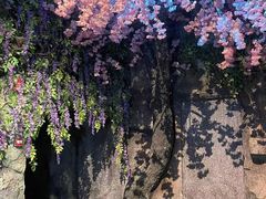-暴风岛沉浸式体验馆(百联世纪店)