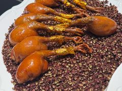 -秀儿四九城·新京菜(亚运村鸟巢店)