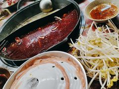 -赵美丽·重庆社区火锅·直营店(火车东站·中豪国际店)