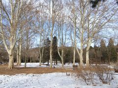 -国家植物园南园