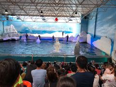 -秦皇岛乐岛海洋王国