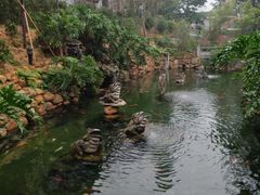 -国恩寺