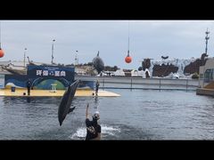 -秦皇岛乐岛海洋王国