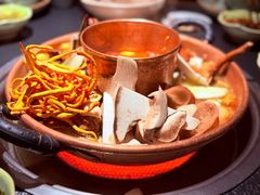 -菌自由丨野生菌火锅特色庭院餐厅(丽江古城店)