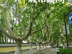 -南京钟山宾馆(江苏省会议中心)