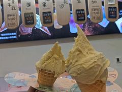 -野人先生现做冰淇淋(北京环宇荟店)