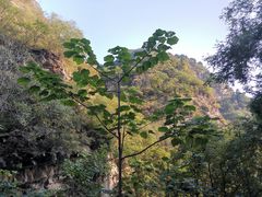 -北京上方山国家森林公园