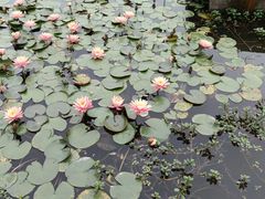 -福州大学(旗山校区)