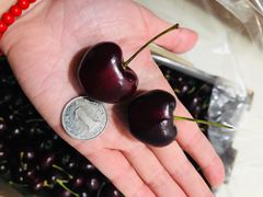 -江杨农产品批发市场