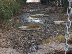 -天鹅湖体育公园