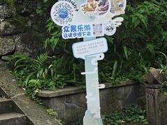 -凤栖山