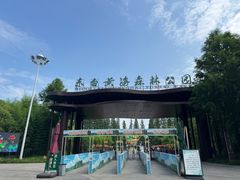 -黄海国家森林公园