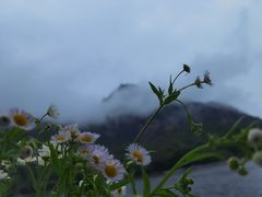 -秦岭终南山世界地质公园翠华山景区