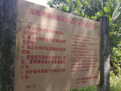-海南热带雨林国家公园吊罗山景区