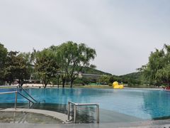 -上海佘山世茂艾美酒店
