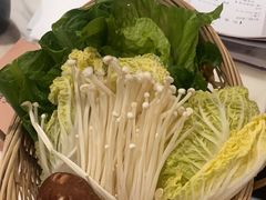 -同仁四季椰子鸡(福田东园总店)
