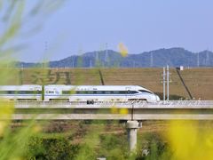 -光明小镇欢乐田园