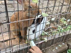 -意大利农场度假村