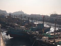 -青岛沙子口国家中心渔港