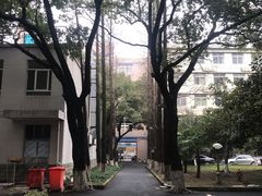 -浙江省团校