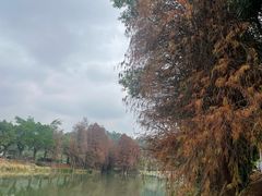 -滴水岩森林公园