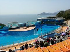 -湾景餐厅(海洋公园店)