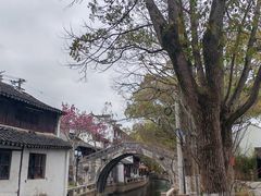 -练塘古镇