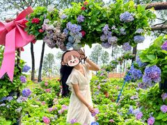 -天适樱花悠乐园