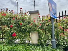 -无锡师范学校附属小学(学前街校区)