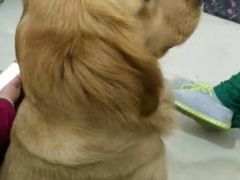 -仁华宠物医院(青羊店)