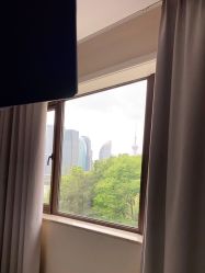 -上海首尔丽格医疗美容医院