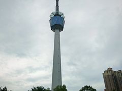 -陕西自然博物馆