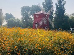 -北京东方普罗旺斯薰衣草庄园